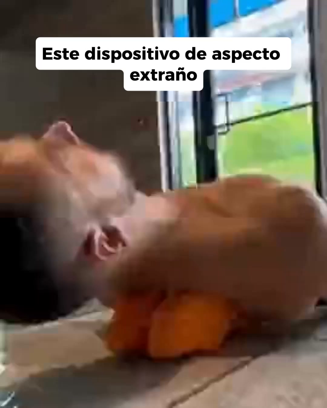 Envío Gratis | Pago Contrareembolso