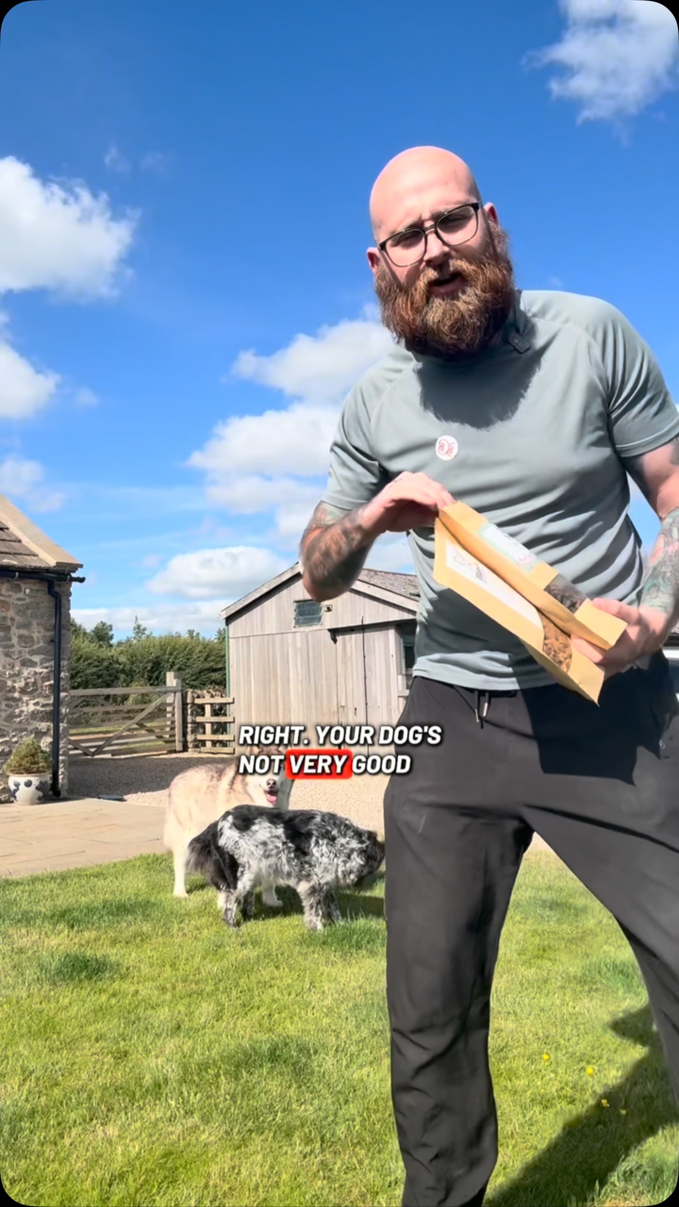 Natural Training Treats