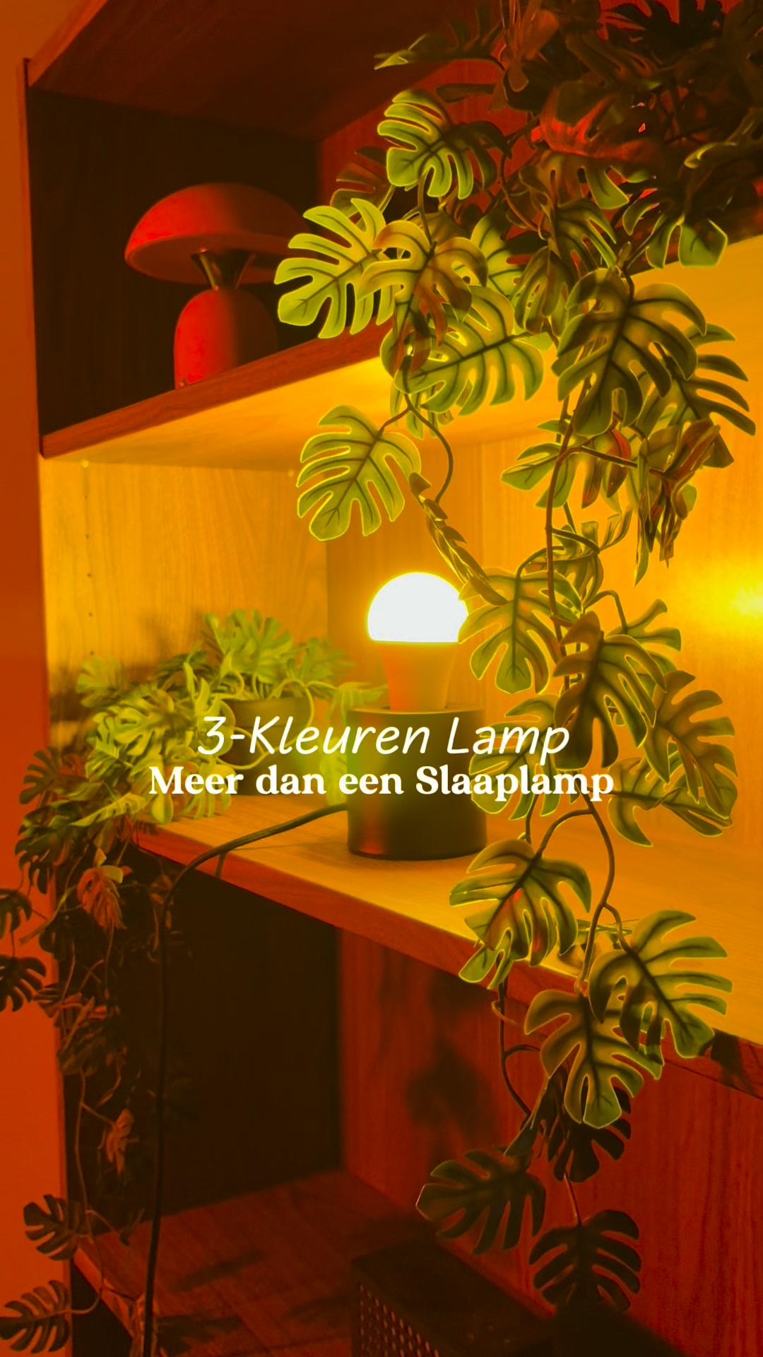 3in1 Kleuren slaaplamp