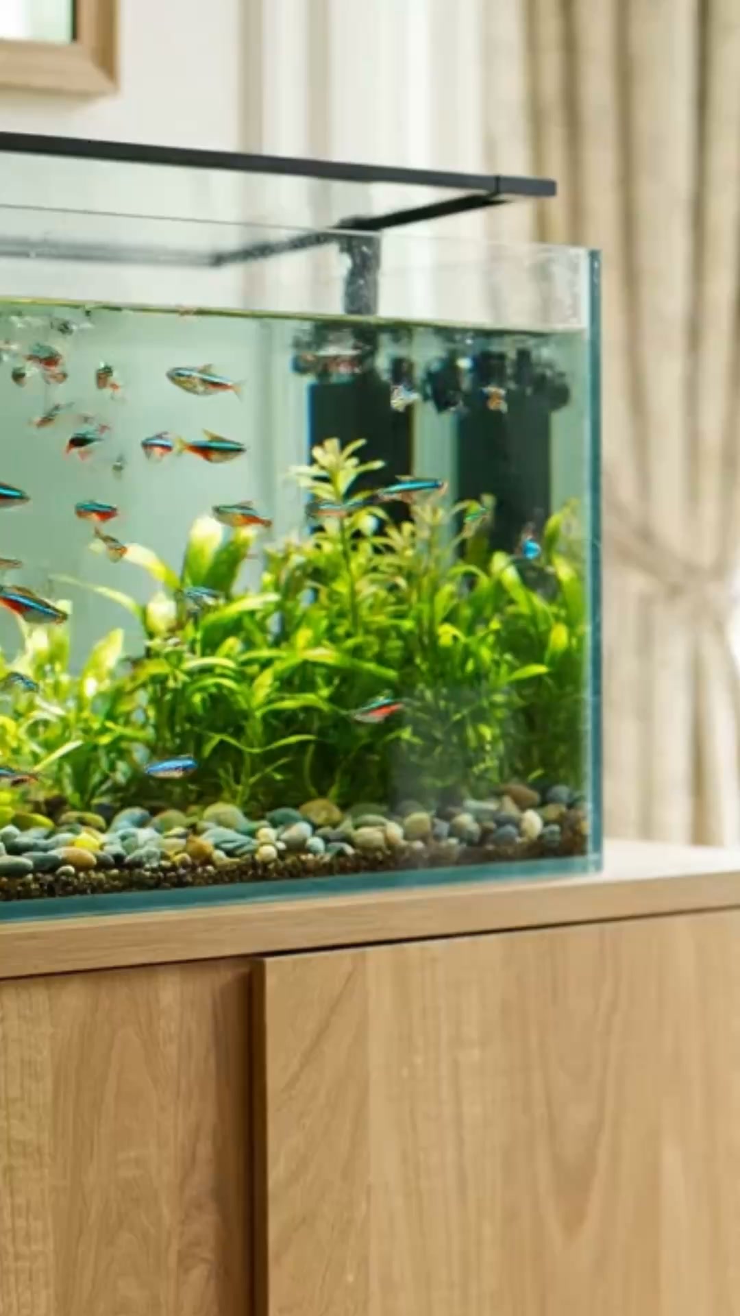 Your new pond and aquarium supplier
