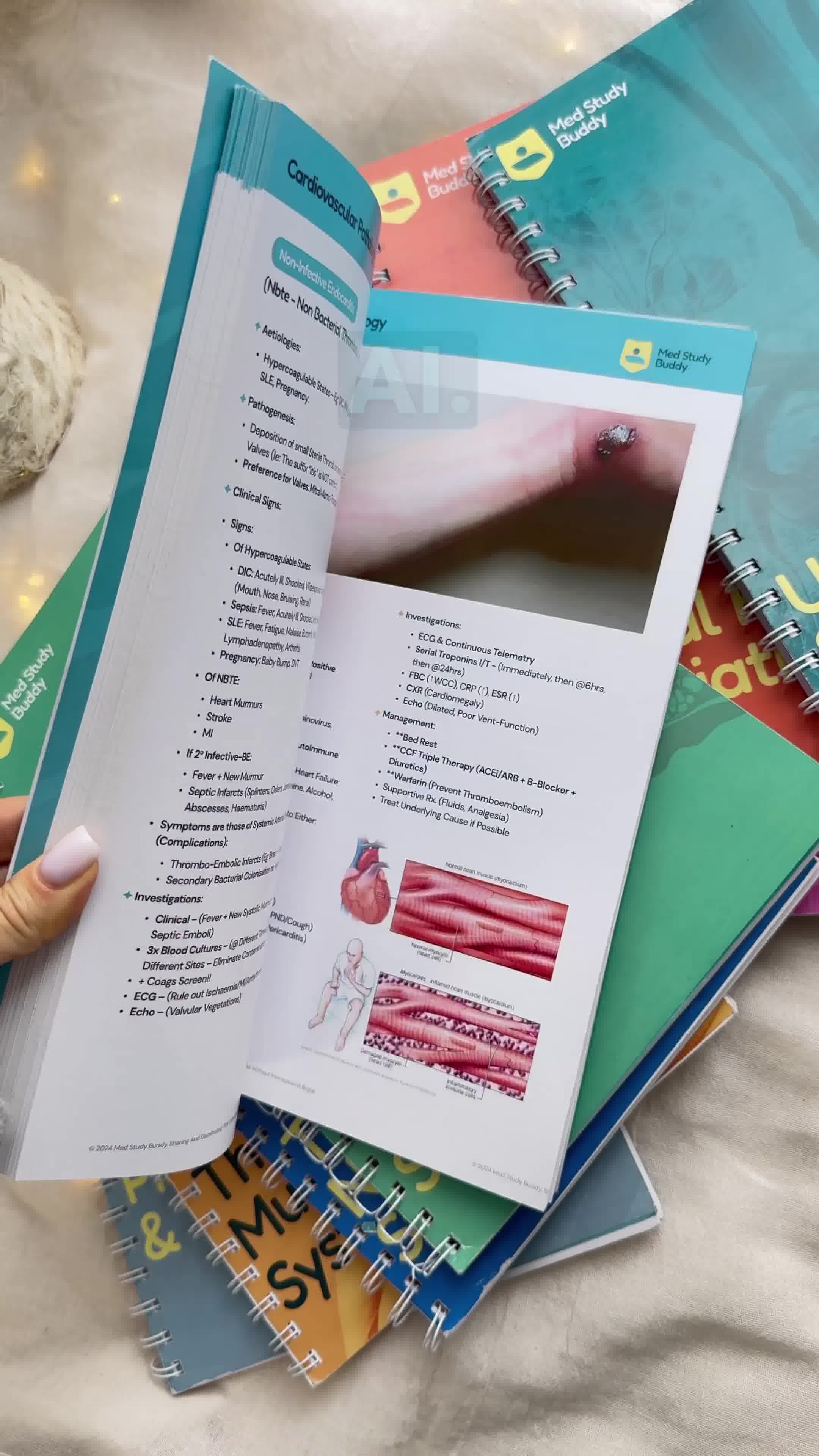 Medicine Study Buddy - COMPLETE BUNDLE