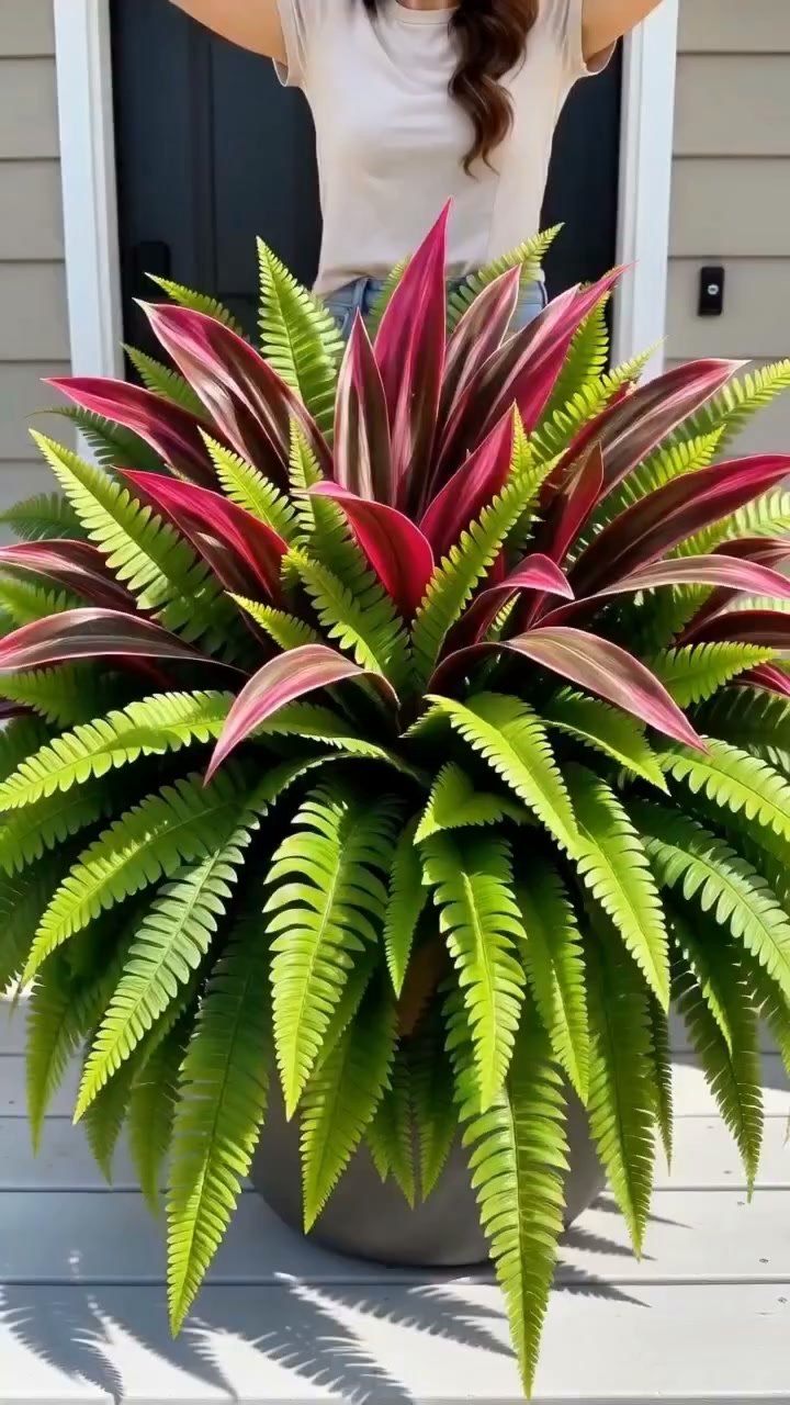 Summer SpecialUV-Resistant Artificial Fern & Red Dracaena Decorative Plants – Full, Lush & Fade-Resistant!