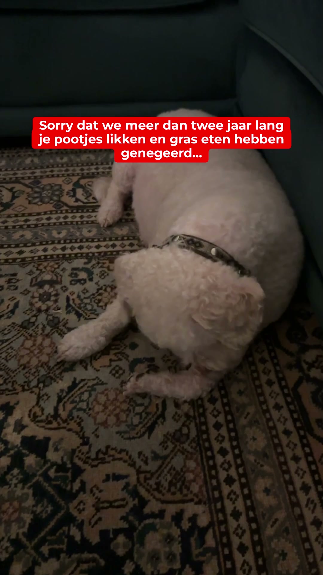 Waar jeuk echt vandaan komt (en wat je ertegen doet)
