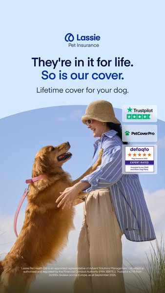 Insure now