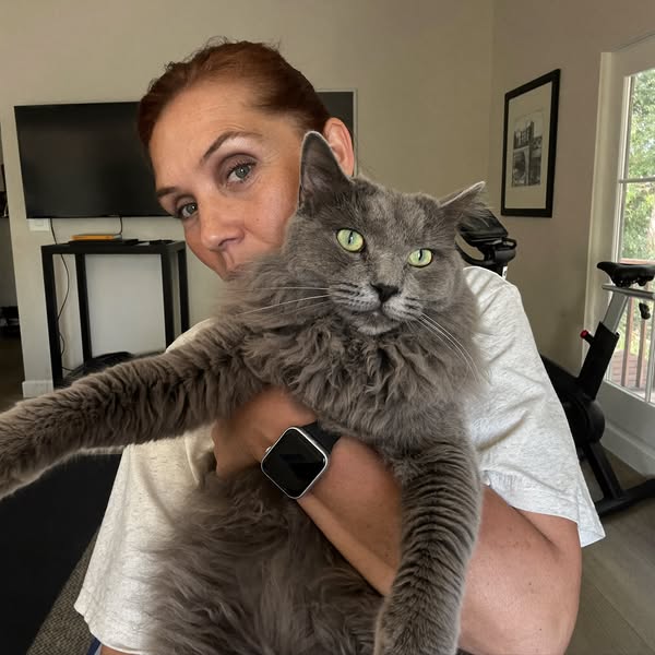 Read If It's Impossible To Cut Your Cat's Nails