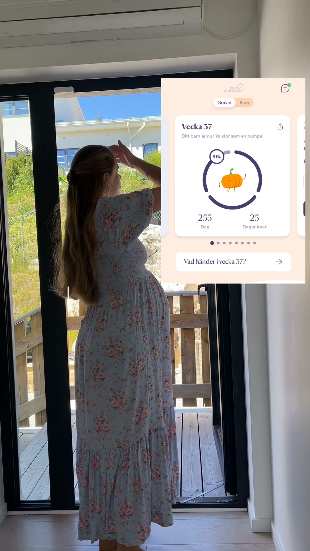 Följ din graviditet vecka för vecka