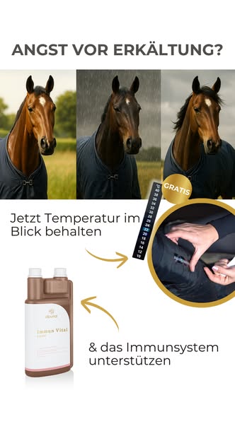 Pflicht im Winter bei Pferden
