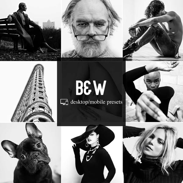 Black & White Lightroom Presets