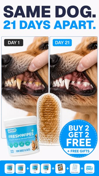 Finally - a dental wipe that actually works