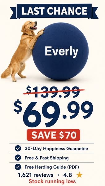 Still waiting? Your Everly is half price — while stock lasts.
