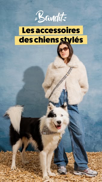 4,8/5 par plus de 5 300 chiens stylés