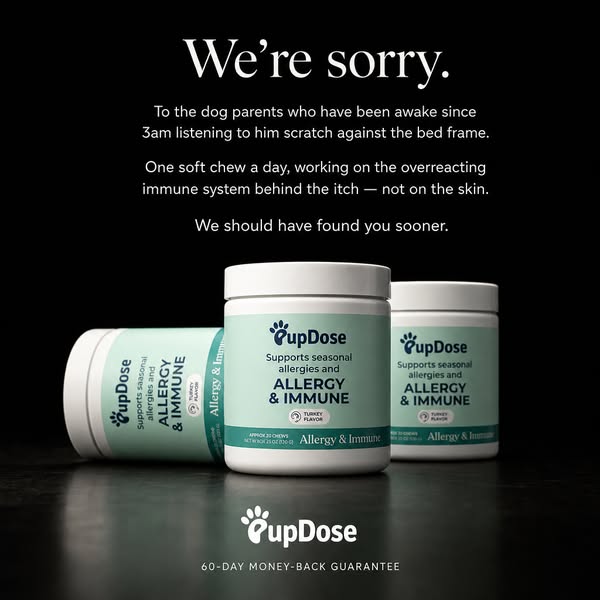 An Apology To Every Owner Awake At 3AM