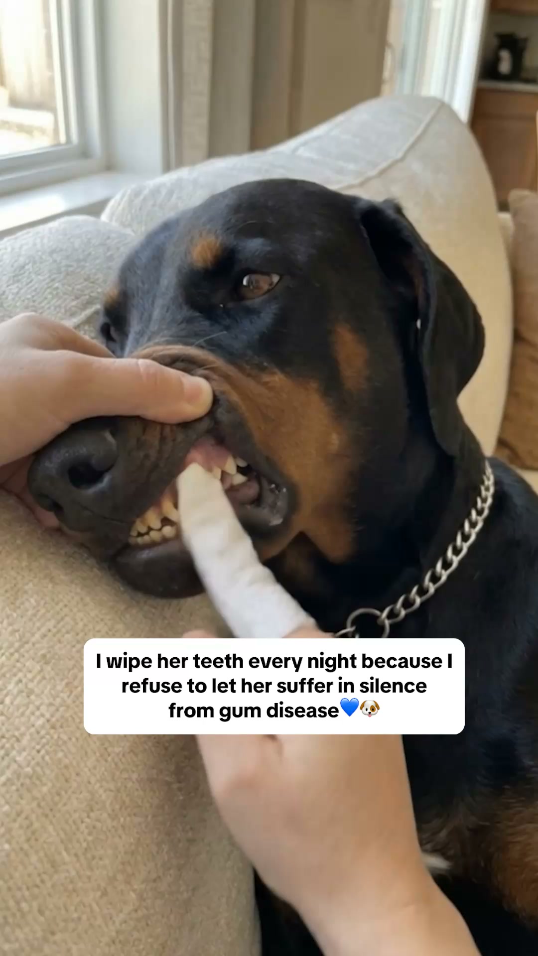 Finally - a dental wipe that actually works