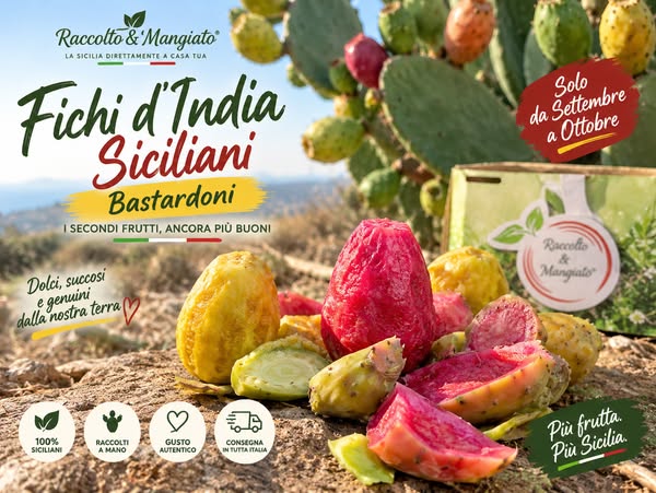 Fichi d’India Siciliani Bastardoni