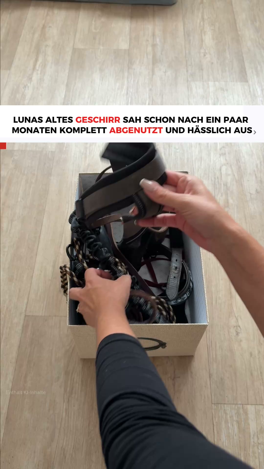 Endlich entspannt Gassi gehen