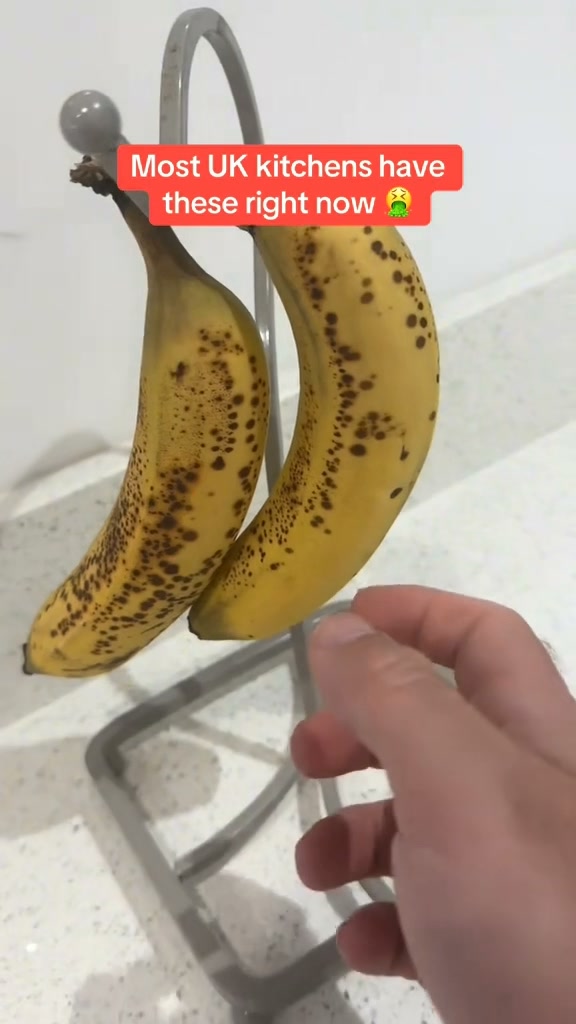 Ultra-Strong Fruit Fly Trap