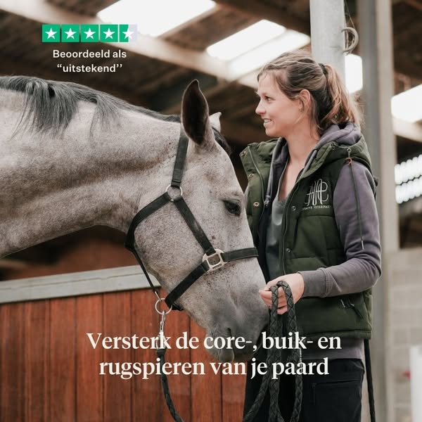 Versterkt de romp, buik- en rugspieren