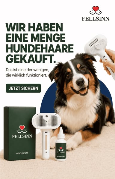 Nebelbürste™ | 50 % Rabatt