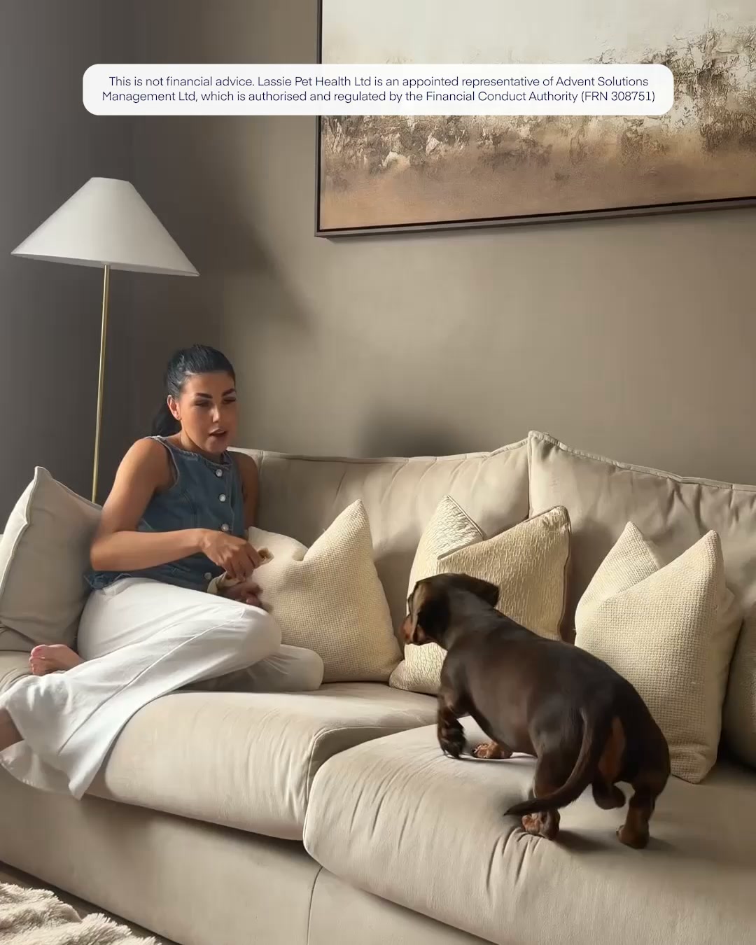 Insure your pet today