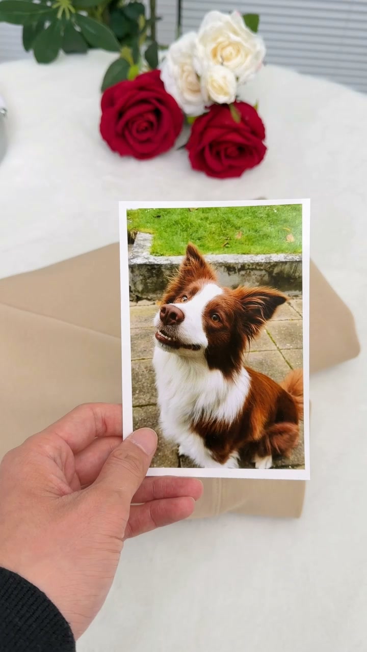 Turn Your Pet Into Minimalist Art