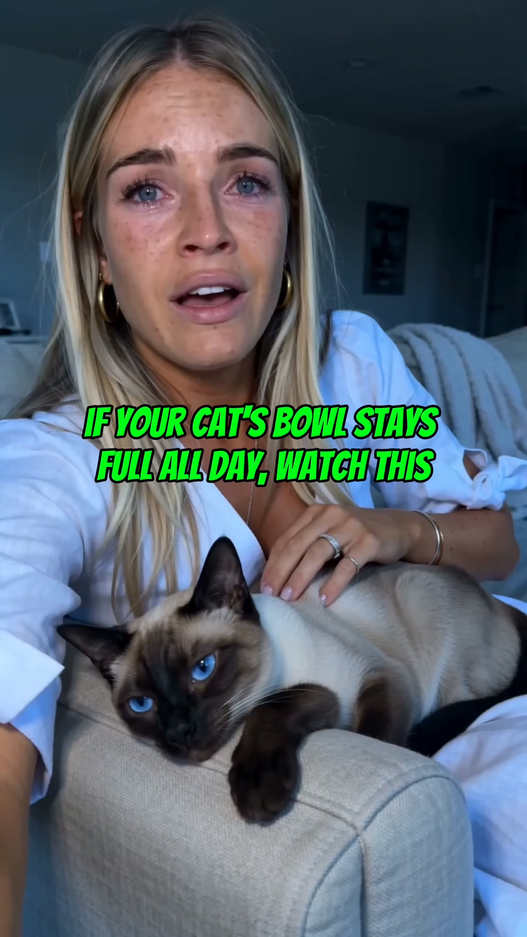 Every Test Came Back Normal. My Cat Was Dying Anyway.