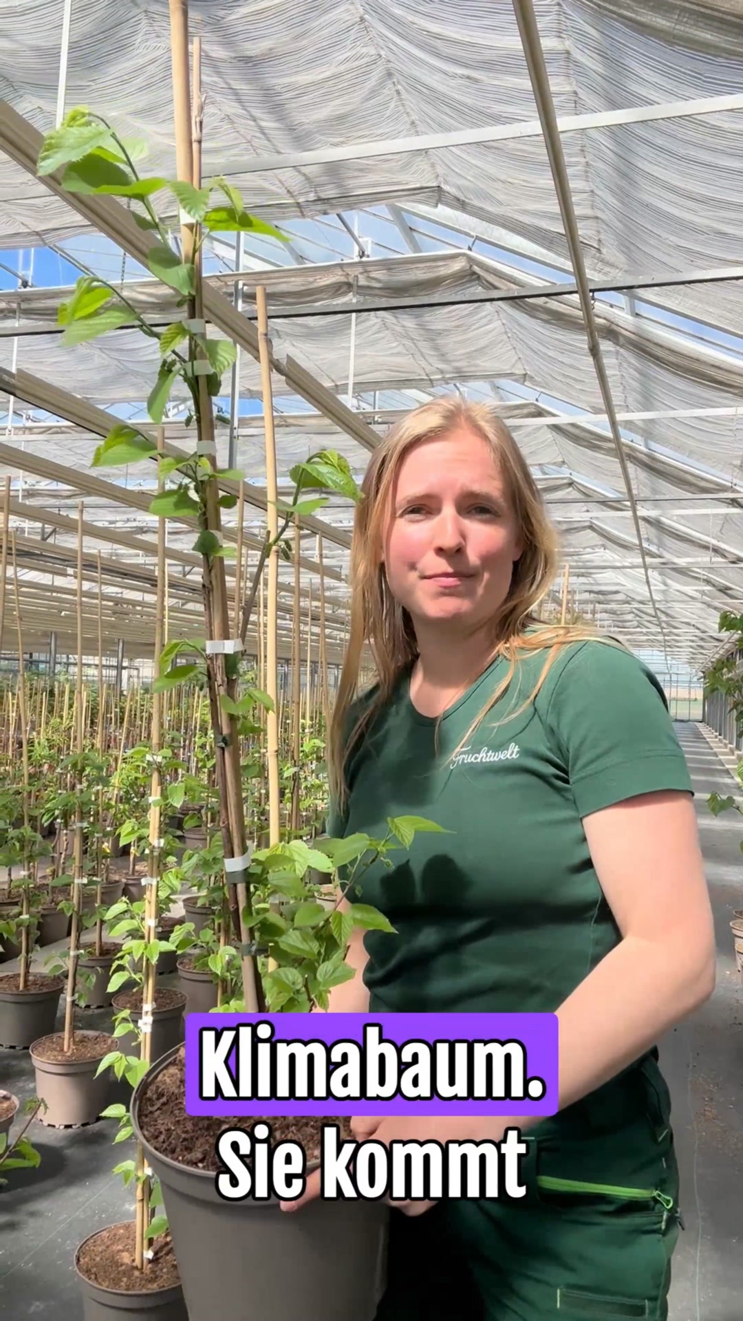 Maulbeeren für deinen Garten