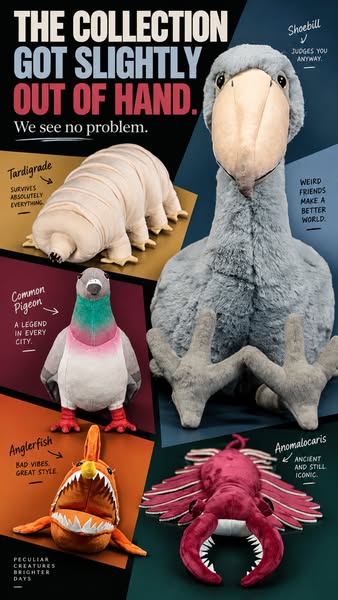 A Collection With No Ordinary Characters