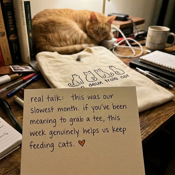 Every Purchase Feeds a Rescued Kitten