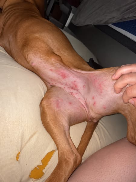 Whose fault is it when the itch comes back?