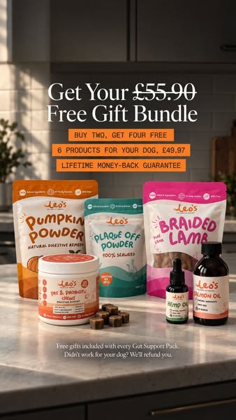 Try RISK FREE. Don't love it? We'll give you a refund.
