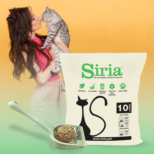 Sable Végétale pour Chat