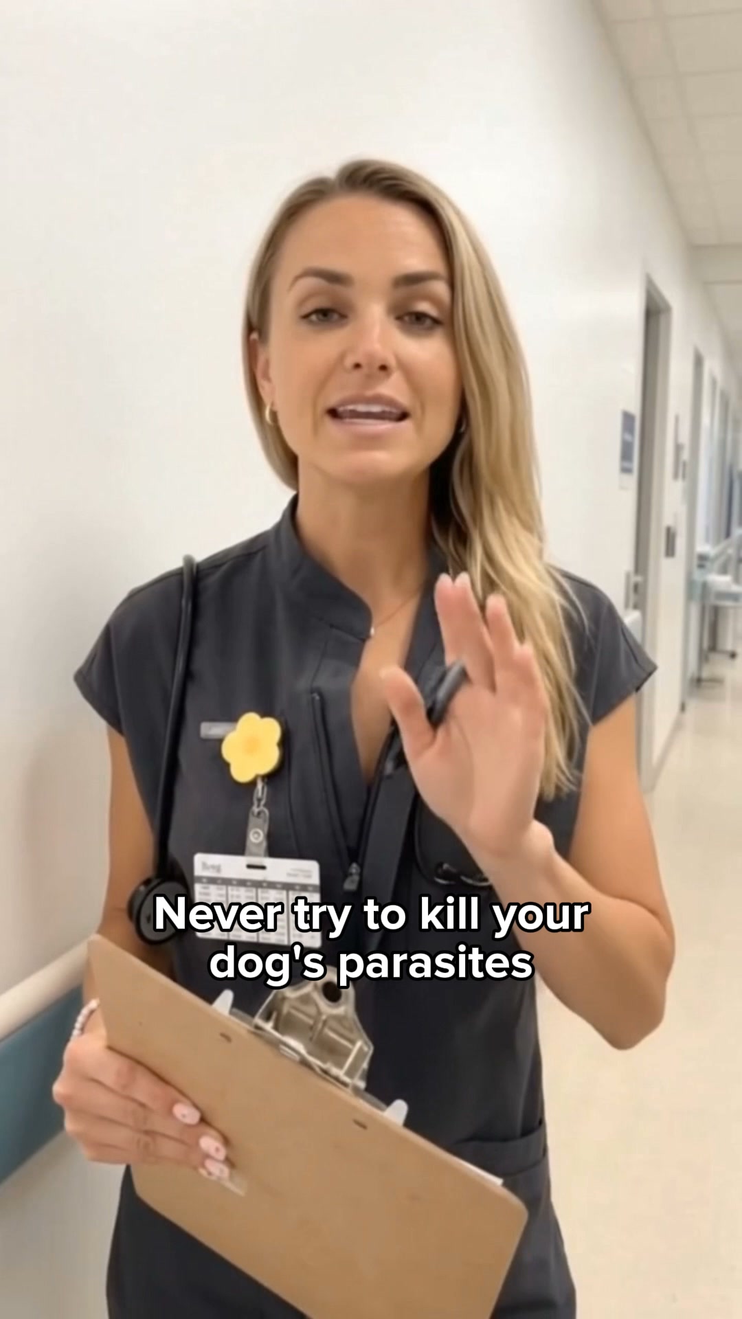 Help Your Dog Today