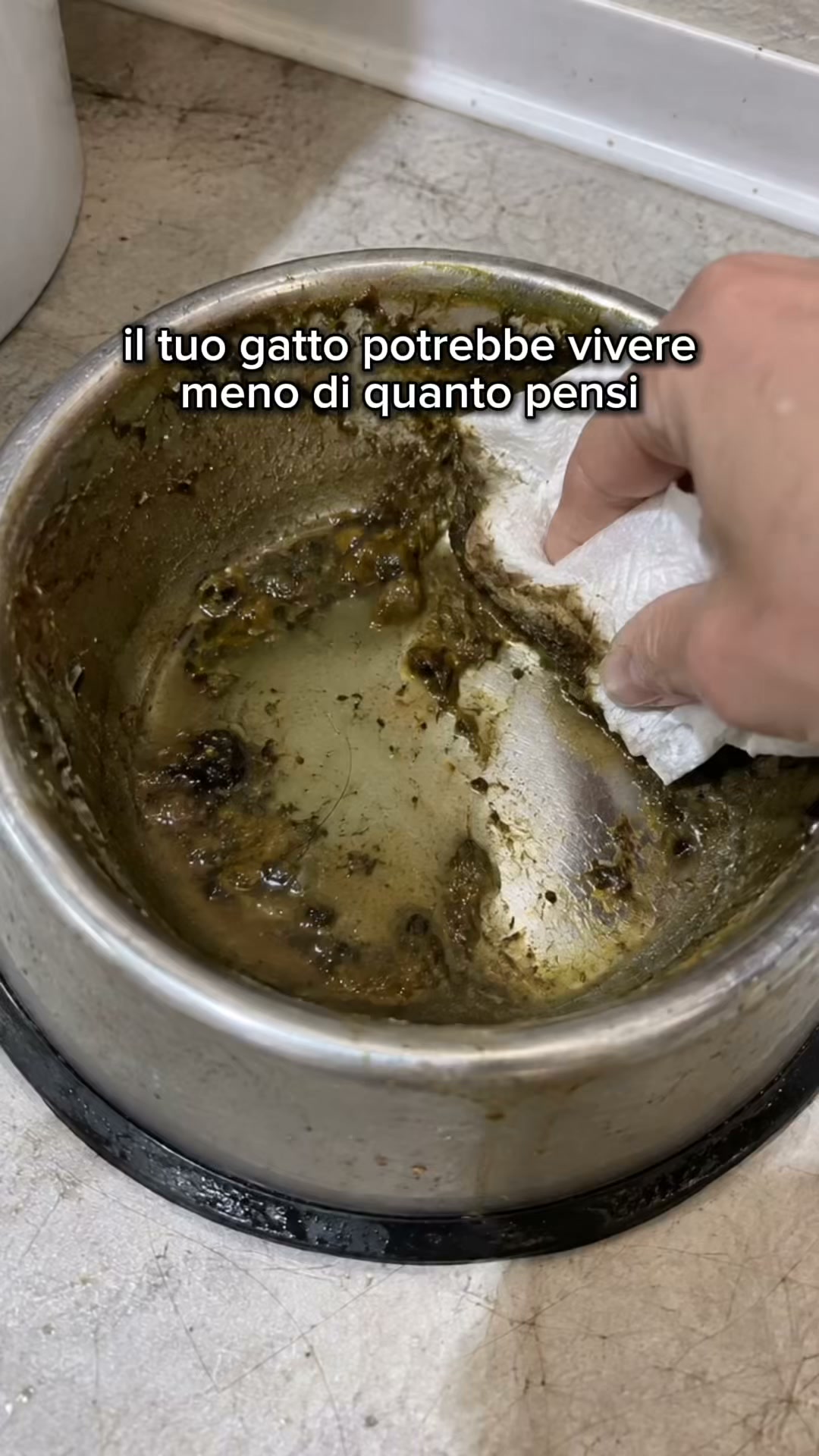 Prevenire costa meno di curare