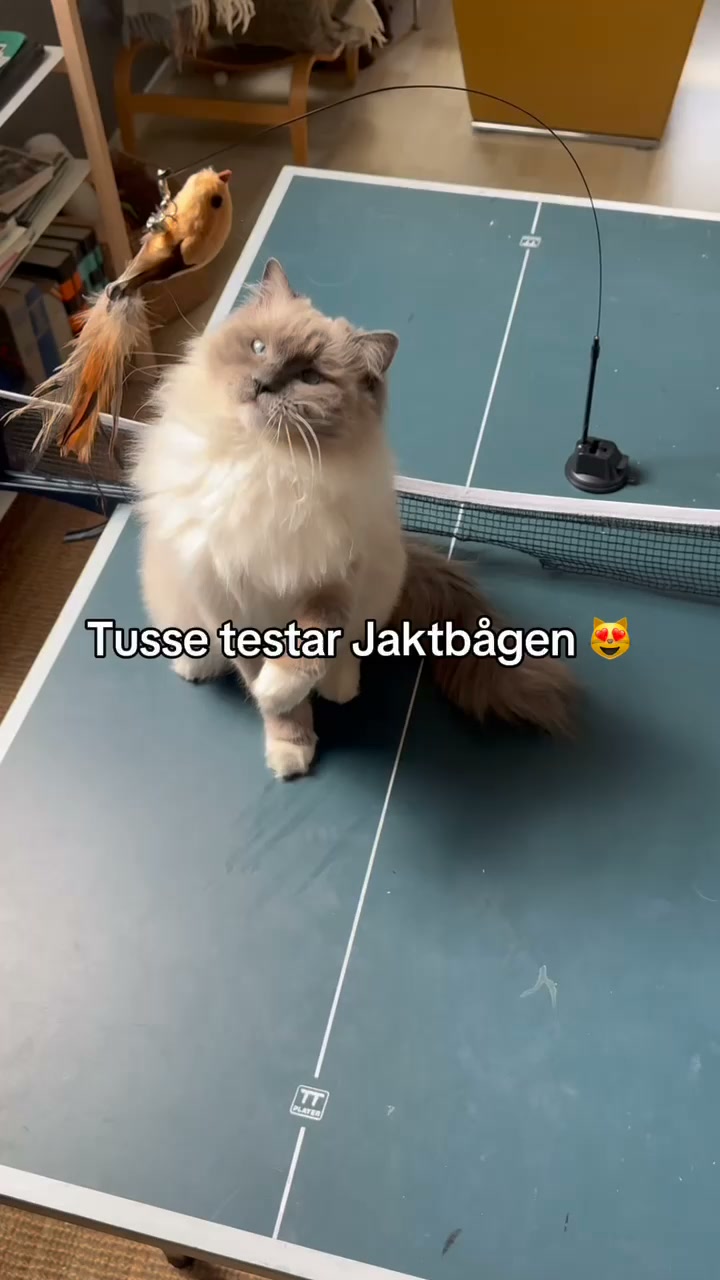 Jaktbågen - 30% REA
