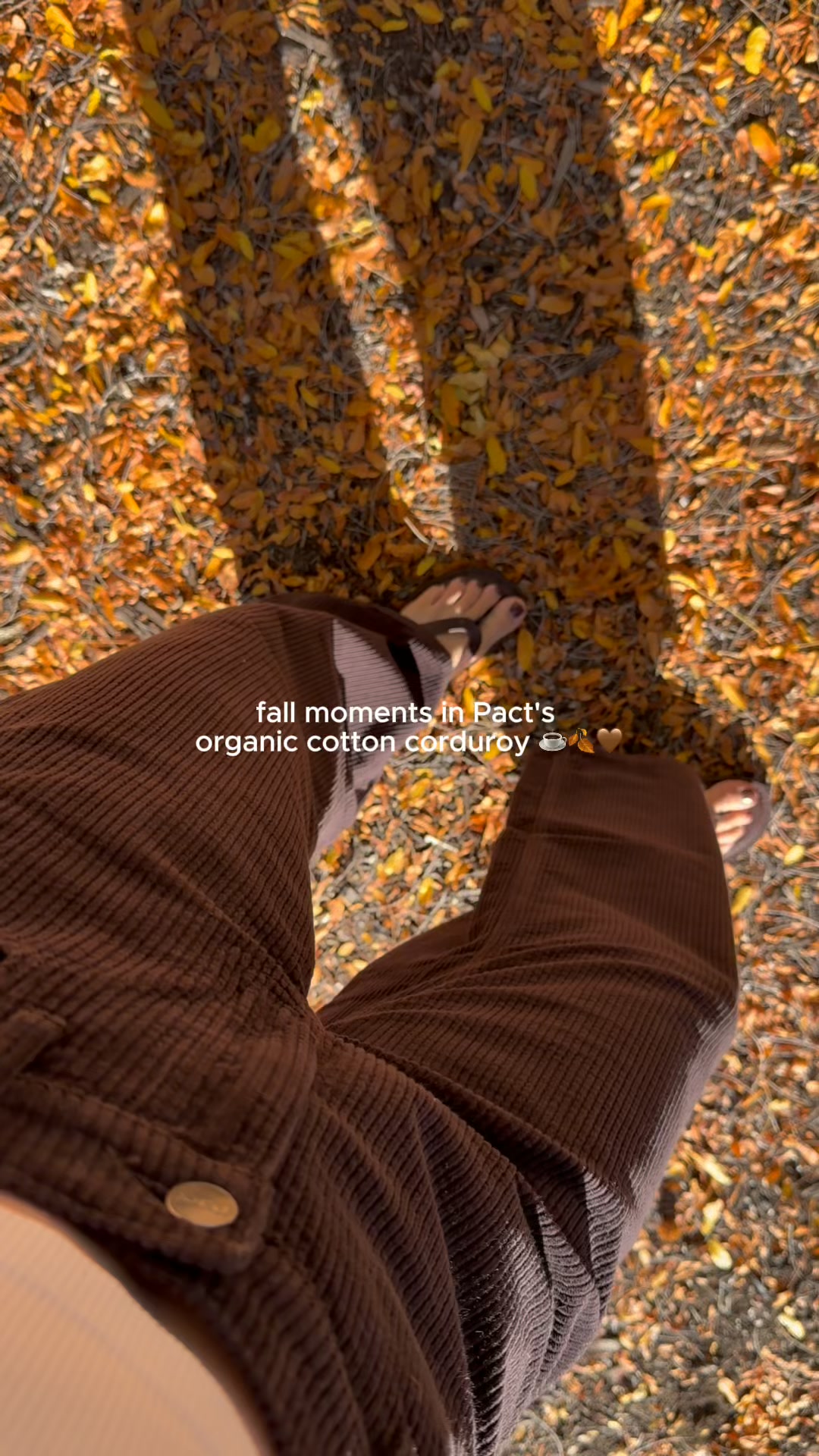 Fall is here