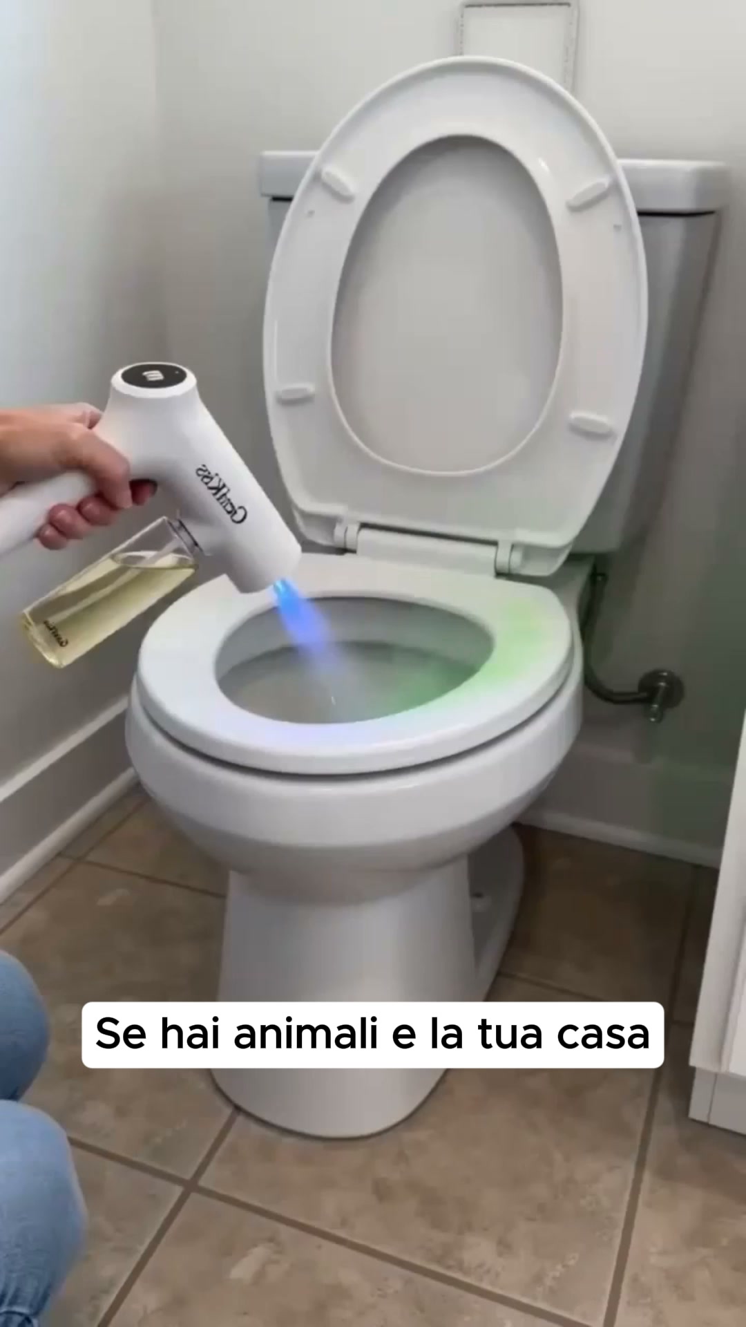 Elimina Velocemente Gli Odori Di Cane e Gatto!