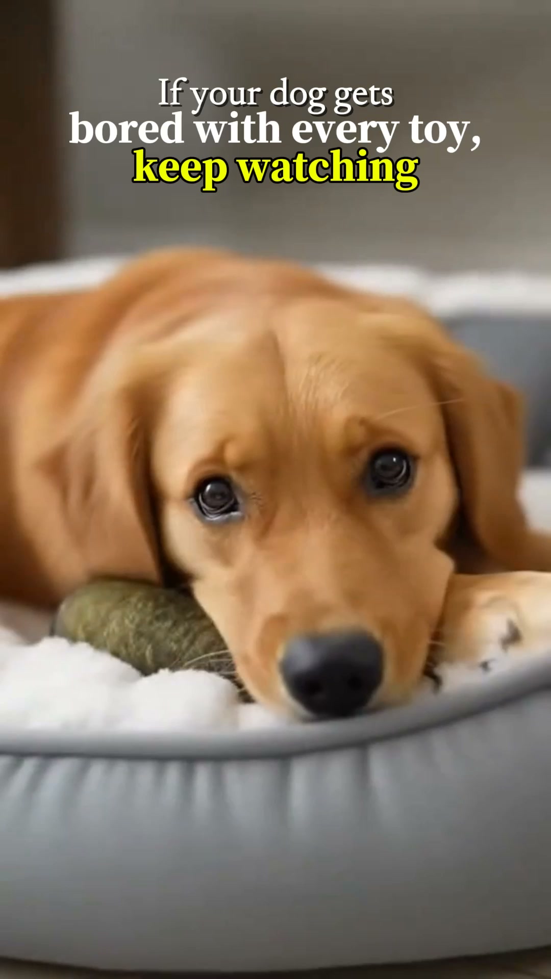 Pawgars™ | Cigar Chew Toy