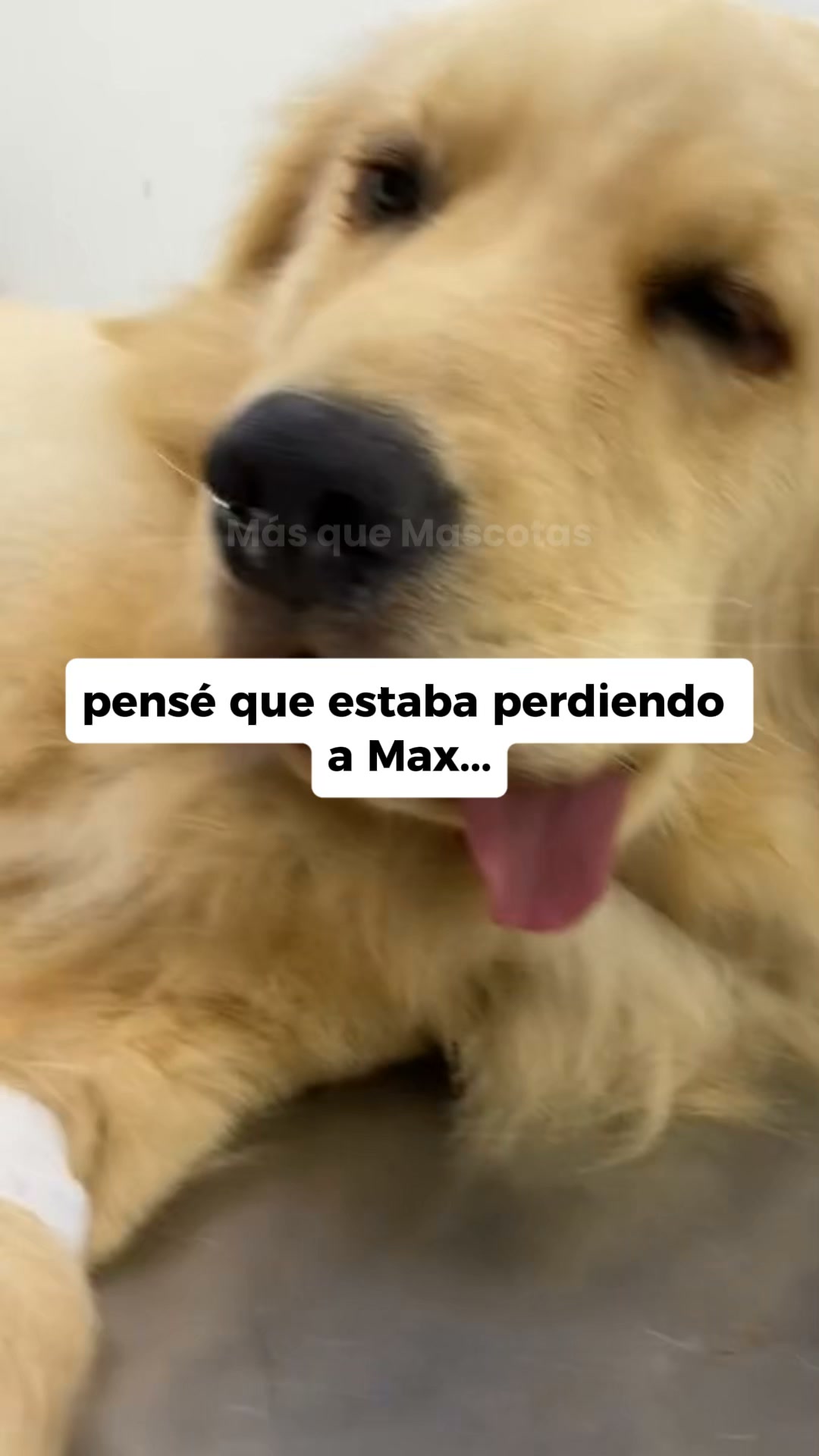 pensé que lo perdía