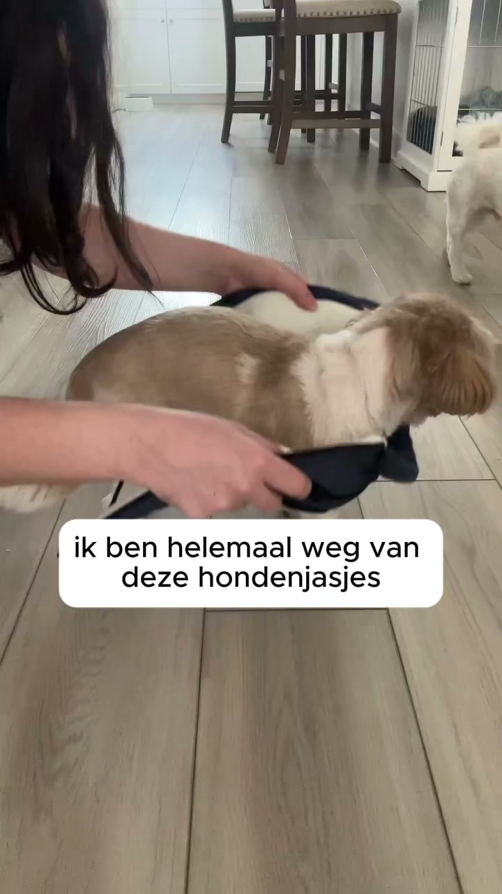 Jas en harnas in één