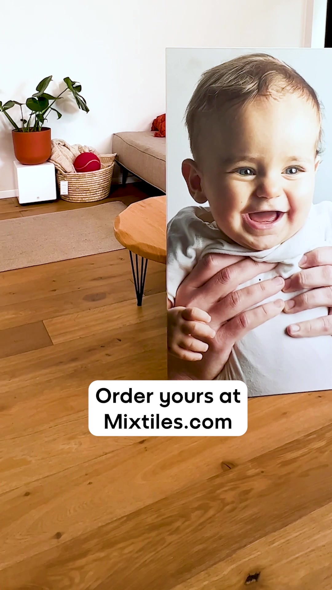 Order Now for FREE Shipping