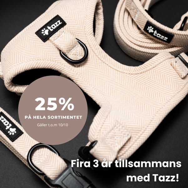 25% på allt – t.o.m. 10/10