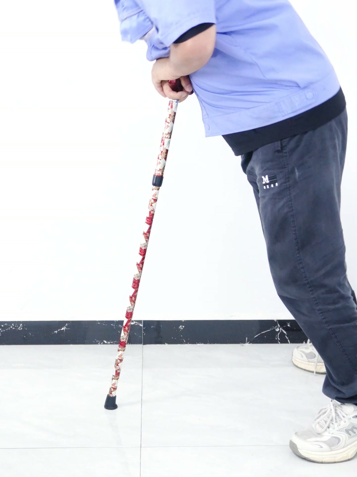 Free Shipping Walking Stick