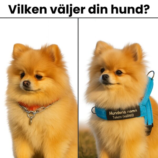 Hundsele med antidrag