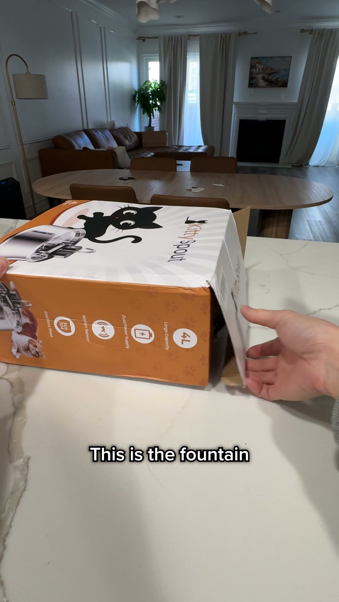 The #1 Vet-Recommended Cat Fountain