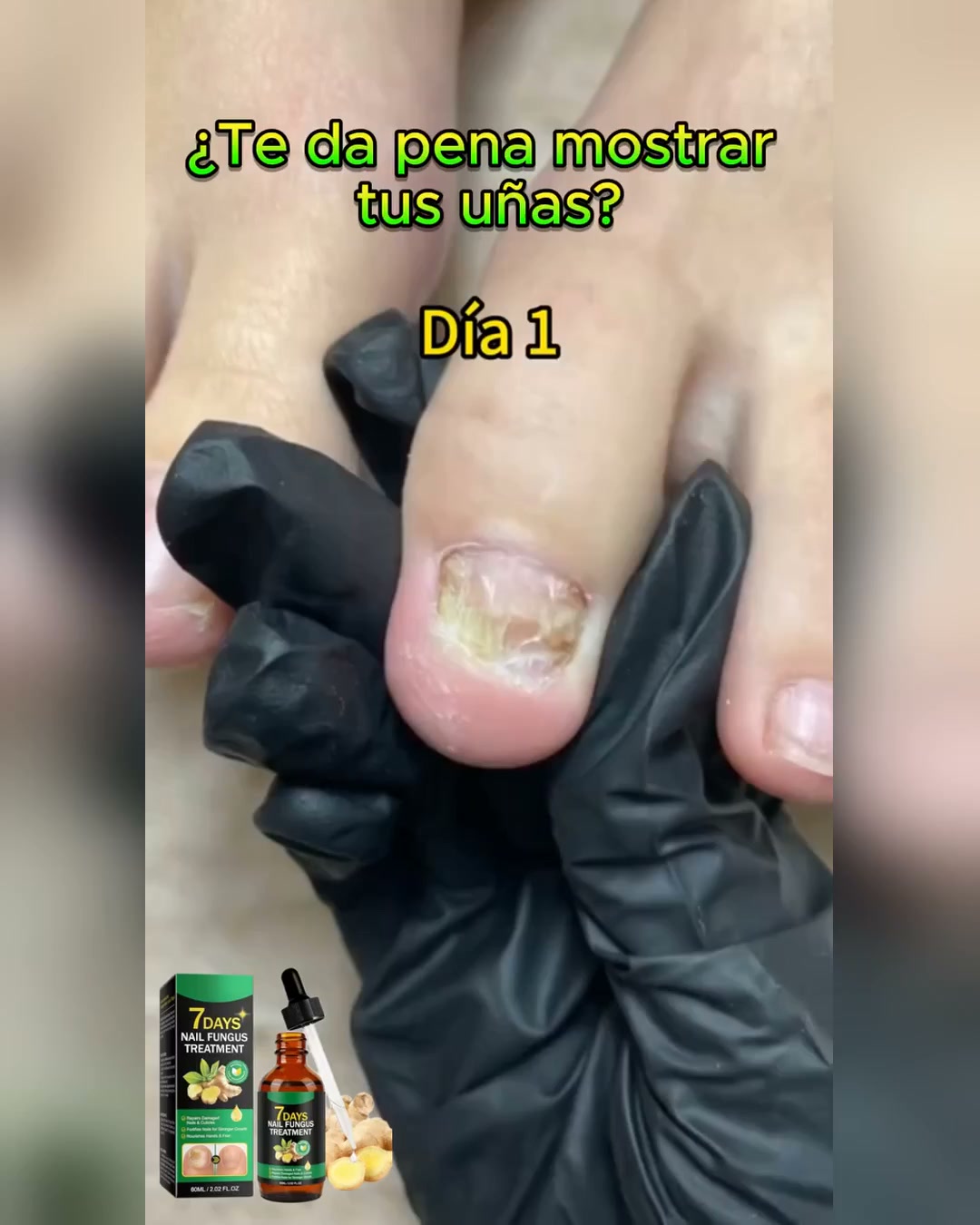 4.8 Reseñas