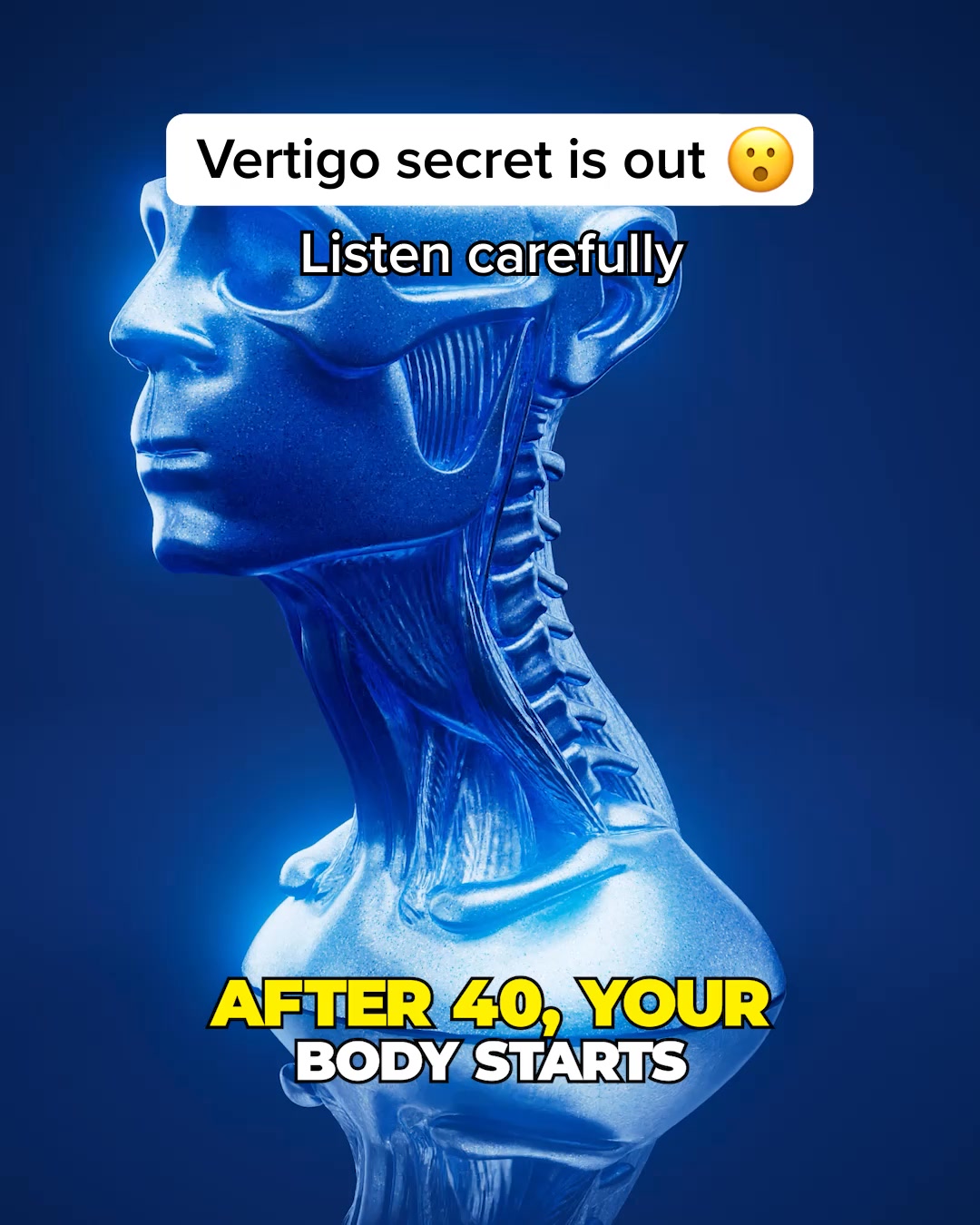 Reduced Anxiety and Stress by 28%
