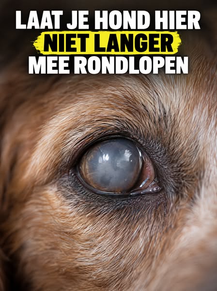 Je ziet het elke dag en hoopt dat het niet erger wordt.