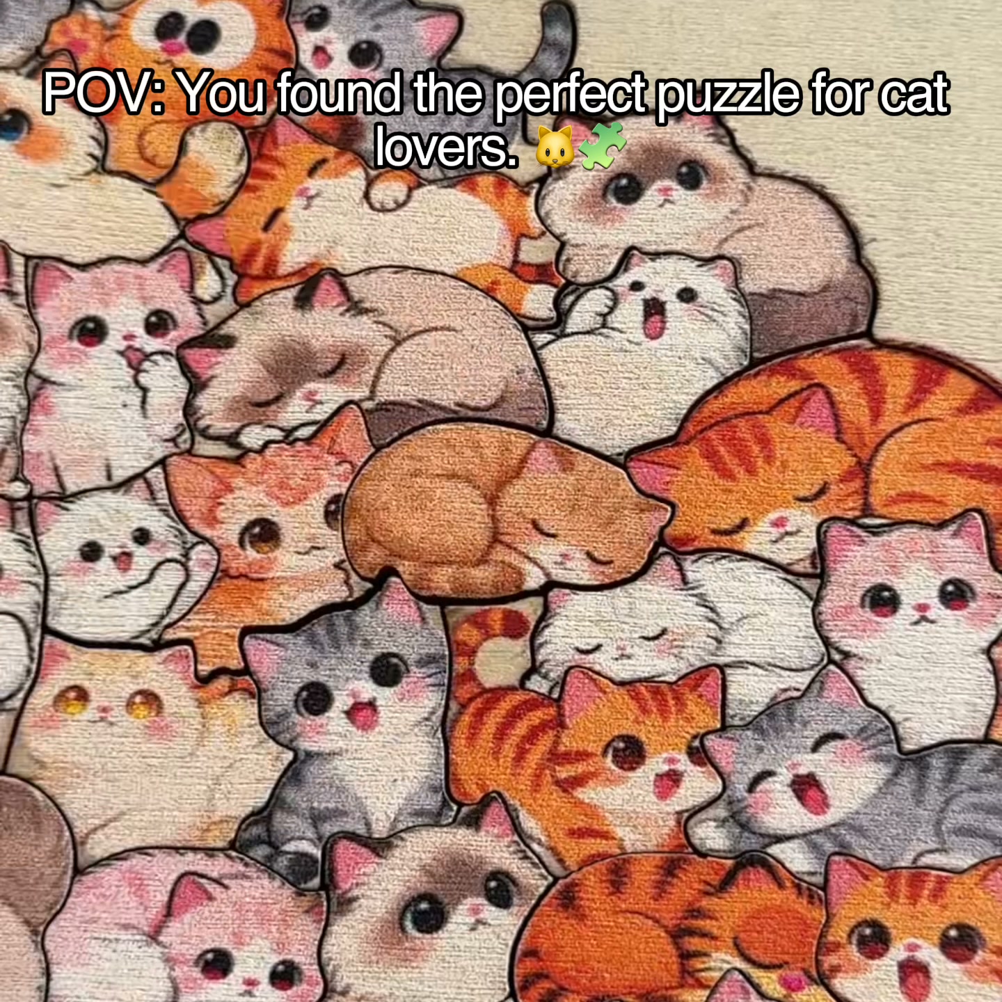 Made for Cat Lovers