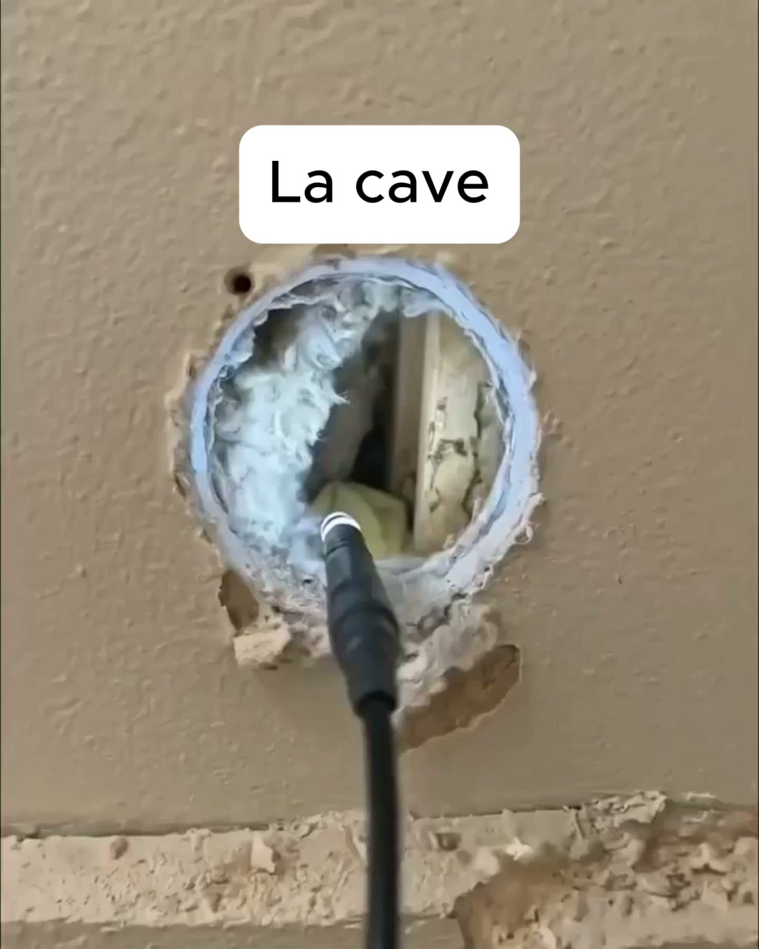 En ce moment : -50 % + livraison gratuite
