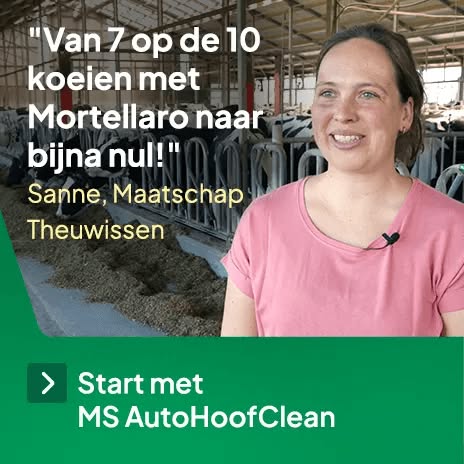 Ontdek de MS AutoHoofClean